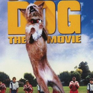 Soccer Dog: The Movie photo 3