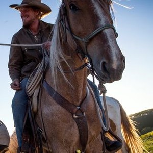 Unbranded (2015) photo 3