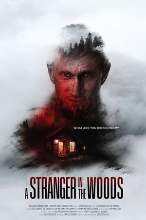 A Stranger in the Woods poster