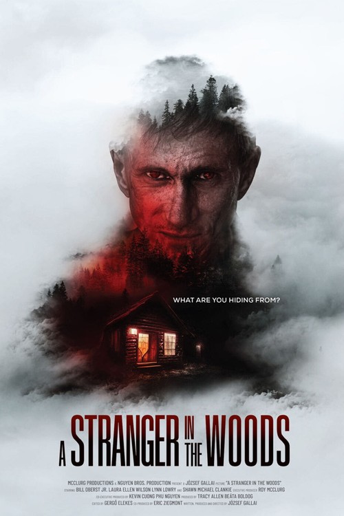 A Stranger in the Woods poster