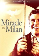 Miracle in Milan poster image