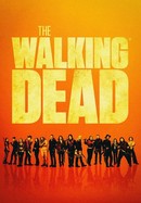The Walking Dead poster image