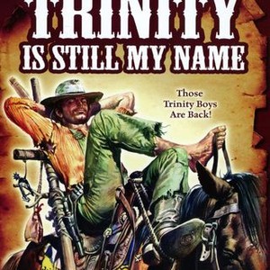 Trinity Is Still My Name (1971) photo 14