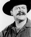 Mickey Shaughnessy