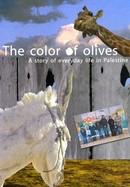 The Color of Olives poster image