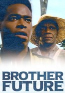 Brother Future poster image
