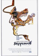 Steppenwolf poster image