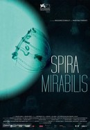 Spira Mirabilis poster image
