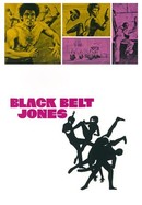 Black Belt Jones poster image