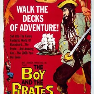The Boy and the Pirates photo 7
