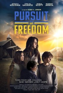 Pursuit of Freedom poster
