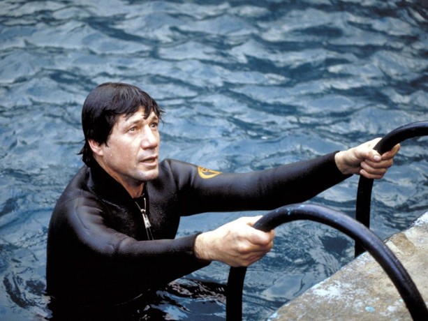 Remo Williams: The Adventure Begins | Rotten Tomatoes