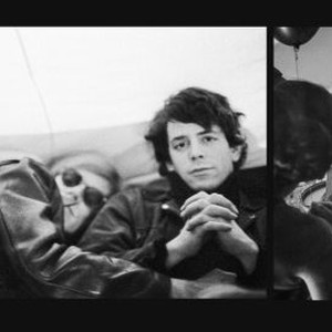 The Velvet Underground photo 19