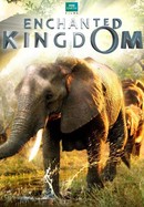 Enchanted Kingdom poster image