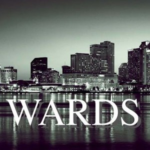 Wards (2017) photo 10