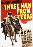 Three Men From Texas poster image