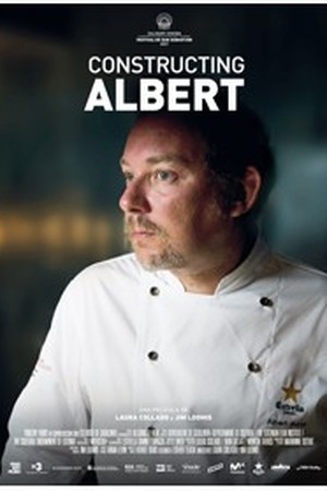 Constructing Albert poster