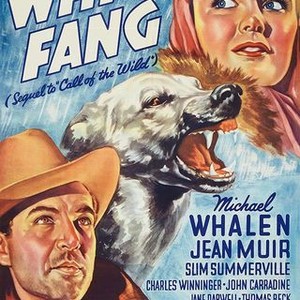 White Fang (1936) photo 6