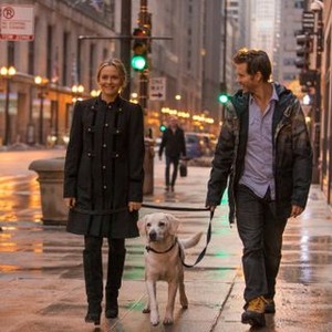 WHO GETS THE DOG?, from left: Alicia Silverstone, Ryan Kwanten, 2016. ph: Matt Dinerstein/©Samuel Goldwyn Films