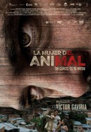 The Animal's Wife poster image