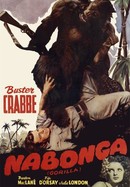Nabonga poster image