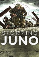Storming Juno poster image
