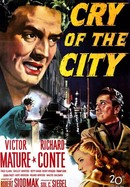 Cry of the City poster image