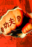 Iron Fists and Kung Fu Kicks poster image