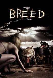Watch trailer for The Breed
