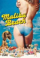 Malibu Beach poster image