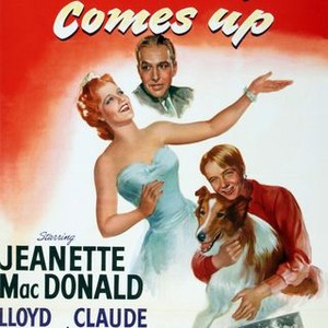 The Sun Comes Up (1949) photo 14