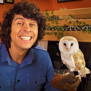 Andy's Secret Hideout: Season 2, Episode 12 - Rotten Tomatoes