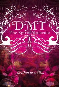 Poster for DMT: The Spirit Molecule