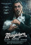 Manglehorn poster image