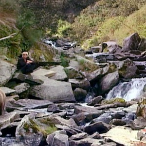 Grizzly Man photo 14