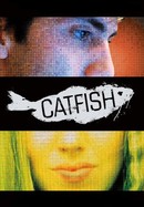 Catfish poster image