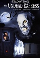 Shadow Zone: The Undead Express poster image