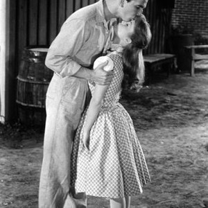 TAMMY AND THE BACHELOR, Leslie Nielsen, Debbie Reynolds, 1957