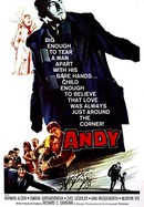 Andy poster image