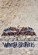 Winter Brothers poster image
