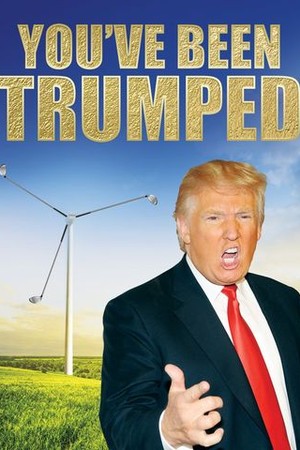 You've Been Trumped poster