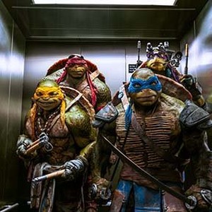 (L-R) Michelangelo, Raphael, Leonardo, and Donatello in "Teenage Mutant Ninja Turtles."