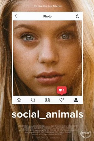 Social Animals poster