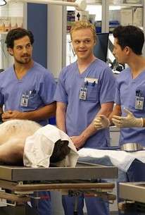 Grey's Anatomy: Season 12, Episode 1 | Rotten Tomatoes