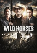 Wild Horses poster image