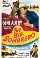 The Big Sombrero poster image