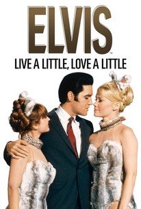Poster for Live a Little, Love a Little