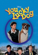 You Lucky Dog poster image