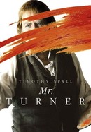 Mr. Turner poster image