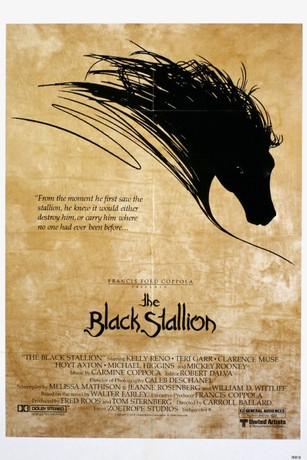 The Black Stallion | Rotten Tomatoes